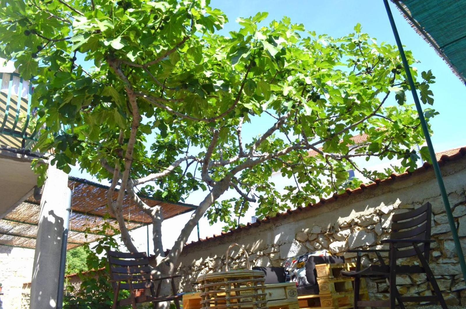 Spanja Apartmán Vodice